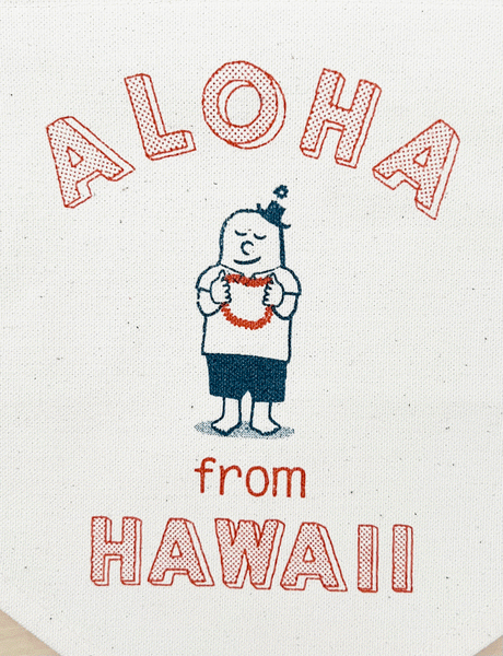 ALOHA FROM HAWAII BANNER