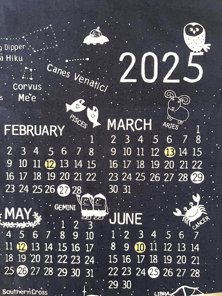 2025 WIMINI CALENDAR